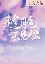 趁月色去見你