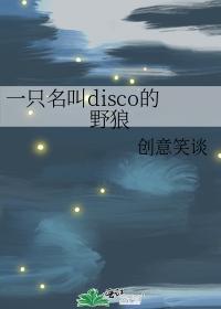 一只名叫disco的野狼