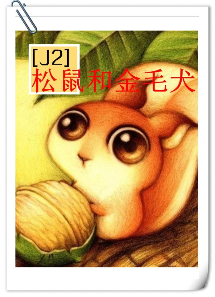 松鼠和金毛犬