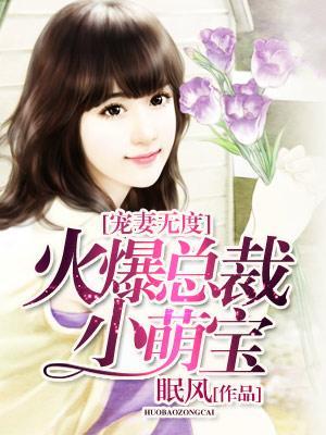 寵妻無度:火爆總裁小萌寶