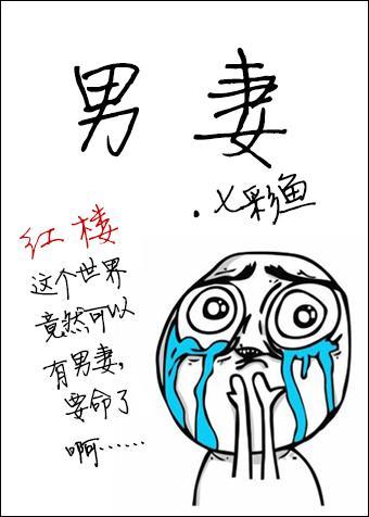[紅樓同人]男妻