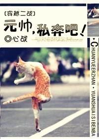 [穿越二戰]元帥，私奔吧！