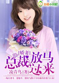 嬌妻：總裁，放馬過來