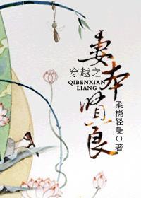 穿越之妻本賢良