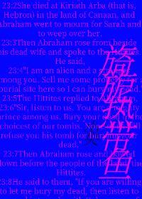 旖旎熱帶魚