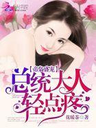 帝枭盛寵:總統大人輕點疼
