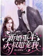新婚重生，大叔超寵我