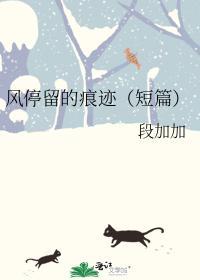 風停留的痕跡(短篇)