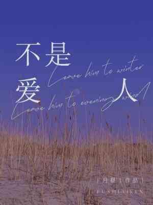 不是愛人