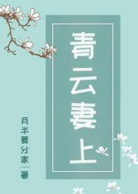 青雲妻上