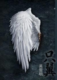 只翼ABO