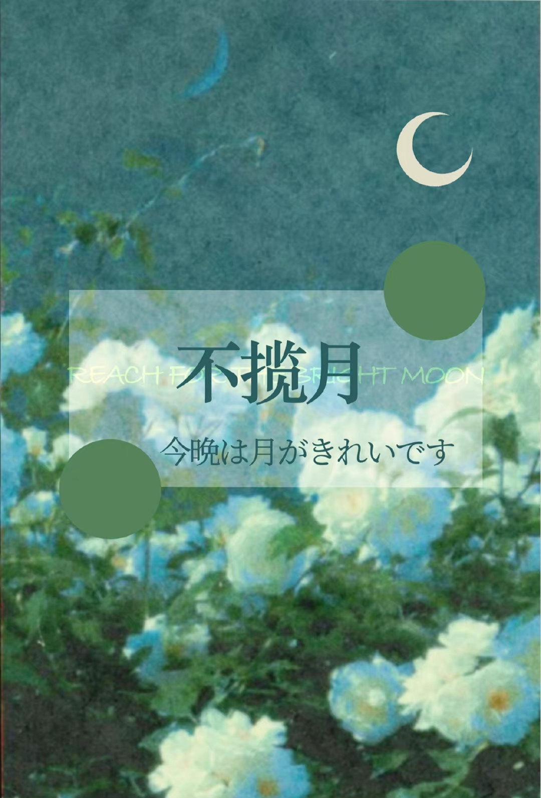 攬月
