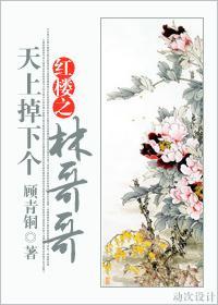 紅樓之天上掉下個林哥哥