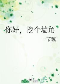 你好,挖個牆角