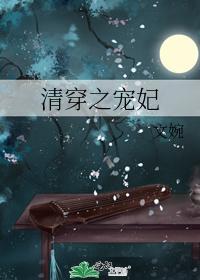 清穿之寵妃