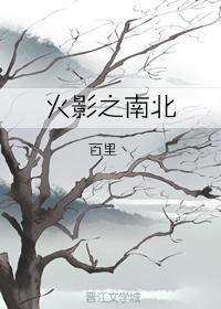 火影之南北