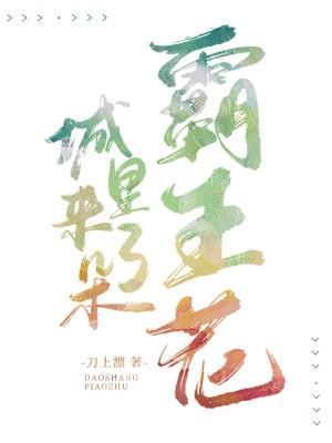 城裏來了朵霸王花