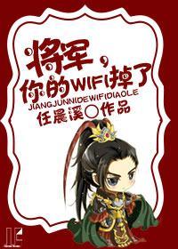 将軍,你的wifi掉了