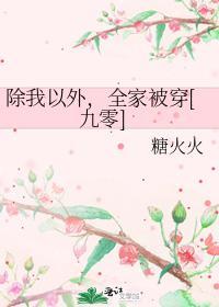 除我以外，全家被穿[九零]