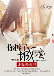 你拆了城牆,讓我去流浪
