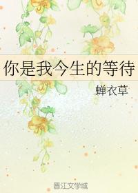 你是我今生的等待