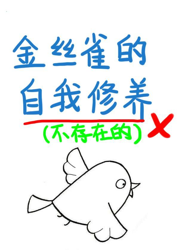 金絲雀的自我修養