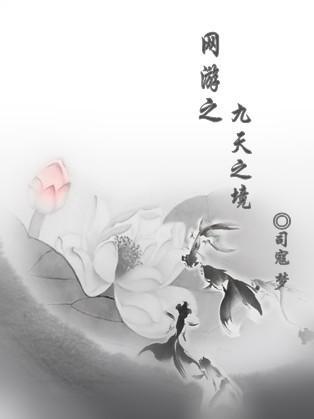 網游之九天之境