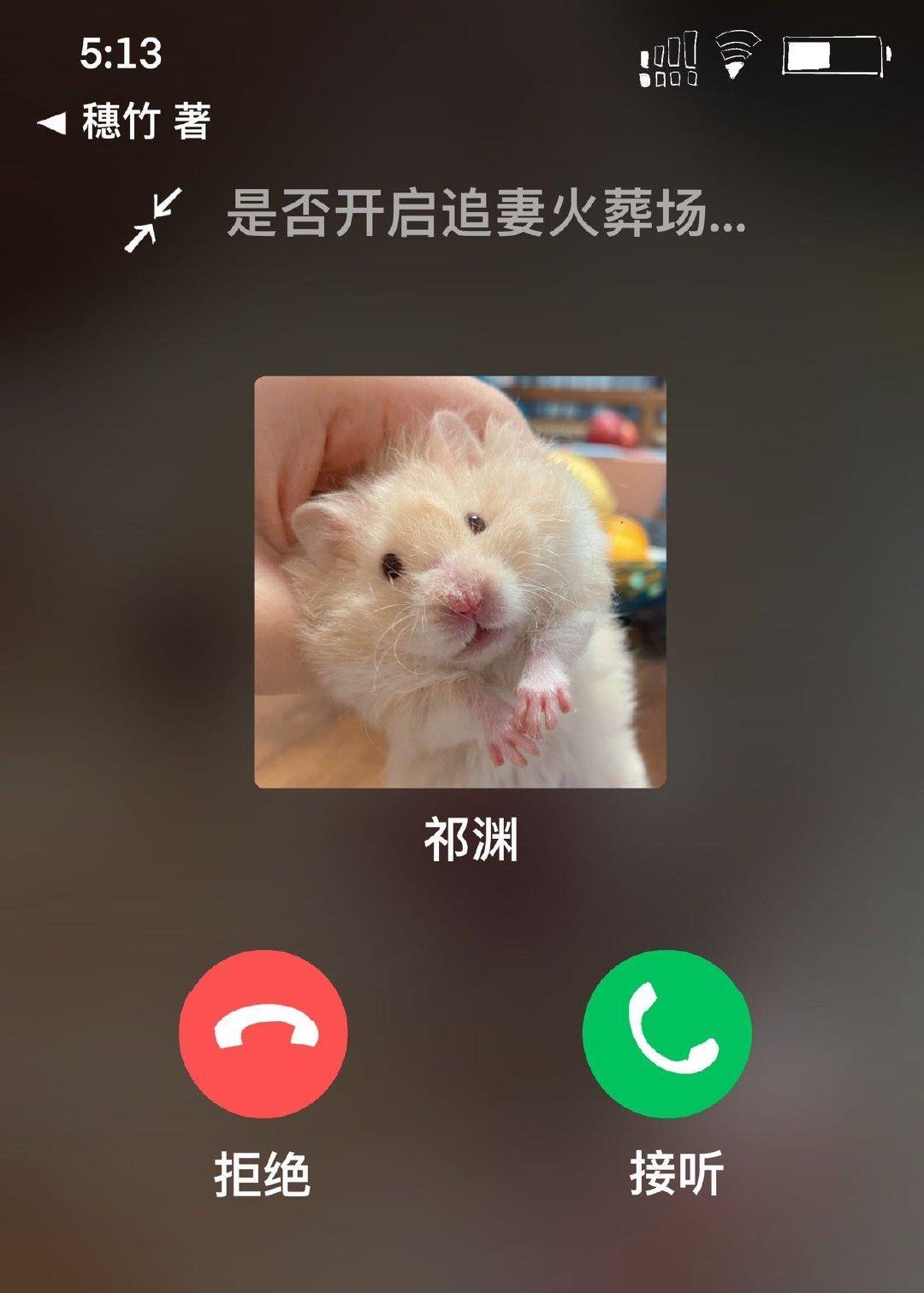虐文霸總穿成女主的倉鼠後