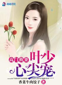 高門萌妻:葉少心尖寵