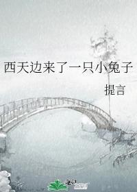 西天邊來了一只小兔子