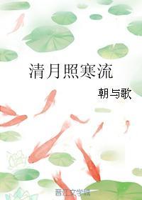 清月照寒流