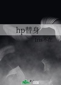 hp替身