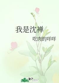 我是沈禪