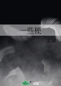 一些梗
