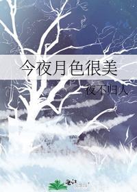 今夜月色很美