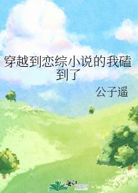 穿越到戀綜小說的我磕到了