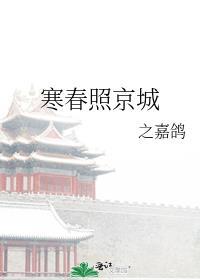 寒春照京城