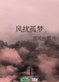 風擾孤夢