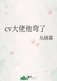 cv大佬他彎了