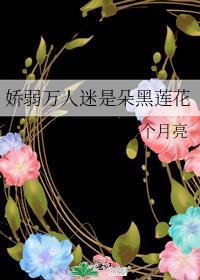 嬌弱萬人迷是朵黑蓮花