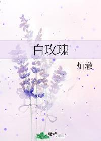 白玫瑰