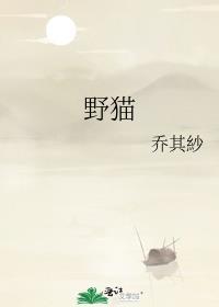野貓