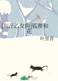 [東卍乙女向]狐貍和花