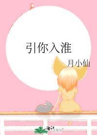 引你入淮