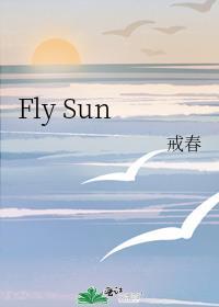 Fly Sun