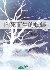 向死而生的蛱蝶