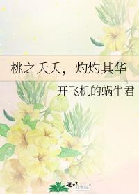 桃之夭夭，灼灼其華