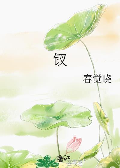 釵