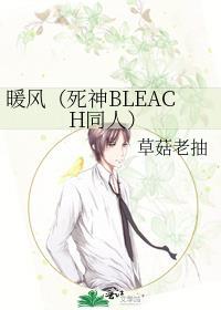 暖風(死神BLEACH同人)
