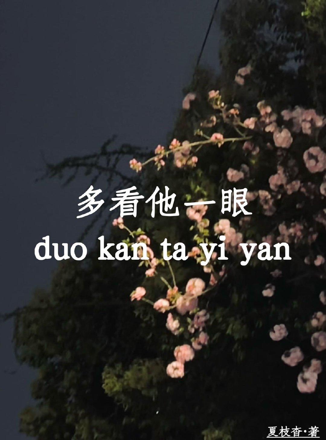 多看他一眼